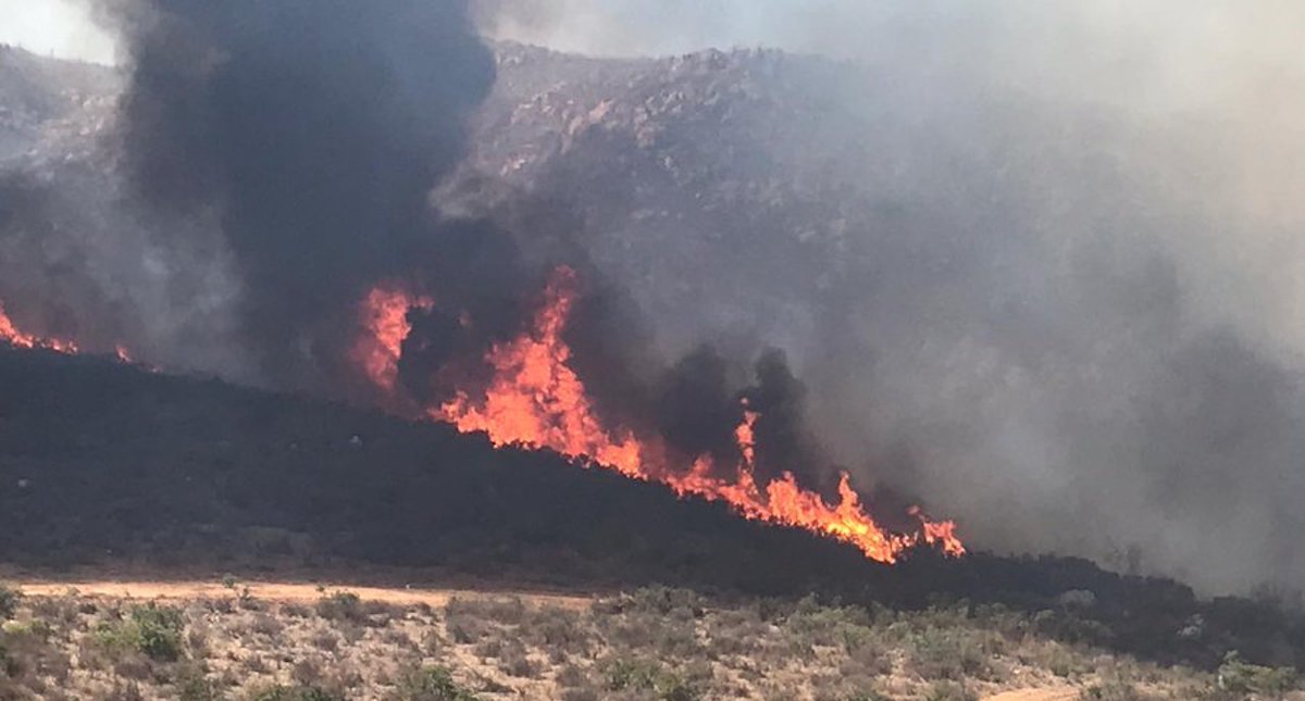 Incendios en Ensenada y Tecate, Baja California, controlados en 90 por ciento