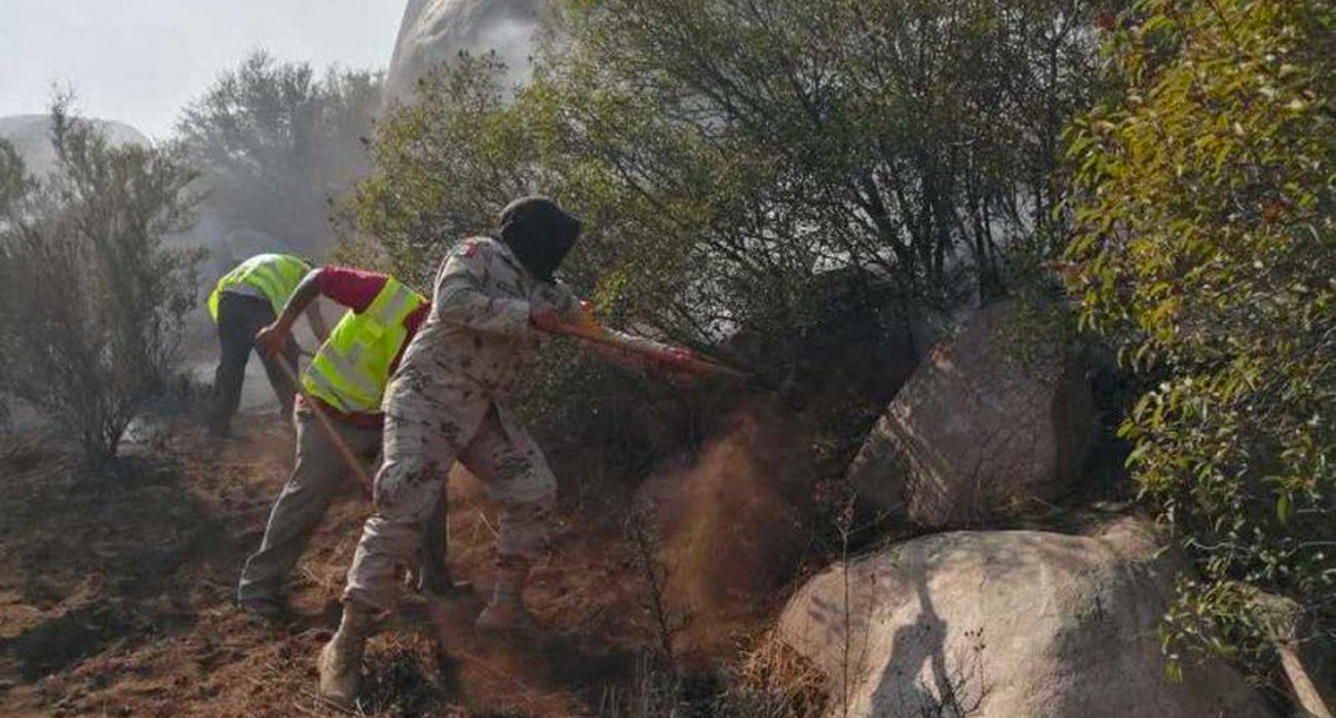 Vientos de Santa Ana aumentan el riesgo de incendios en Baja California Vientos de Santa Ana aumentan el riesgo de incendios en Baja California