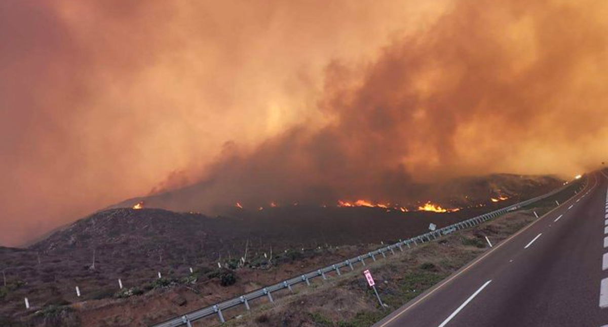 Suspenden clases en tres municipios de Baja California por incendios