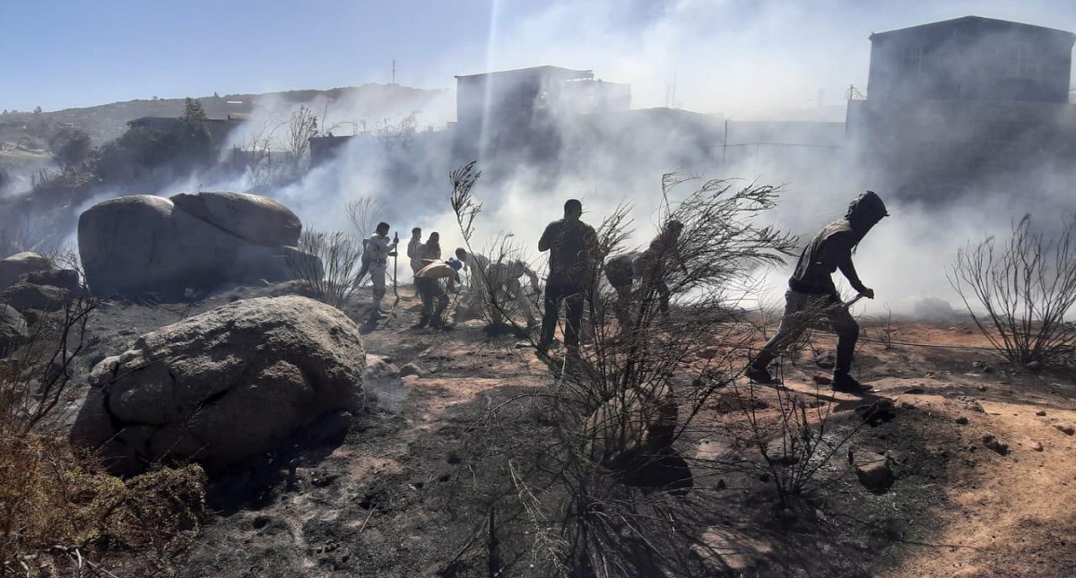 Sedena aplica en Tecate, Baja California, Plan DN-III-E por incendio forestal