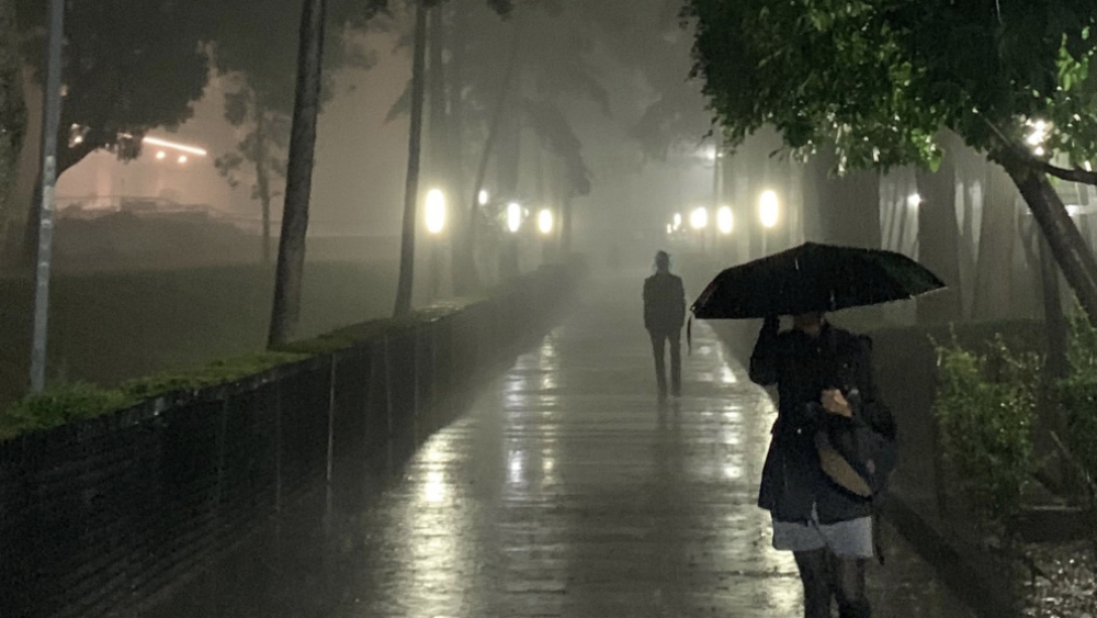 Lluvia deja encharcamientos y caída de árboles en Ciudad de México Lluvia deja encharcamientos y caída de árboles en Ciudad de México