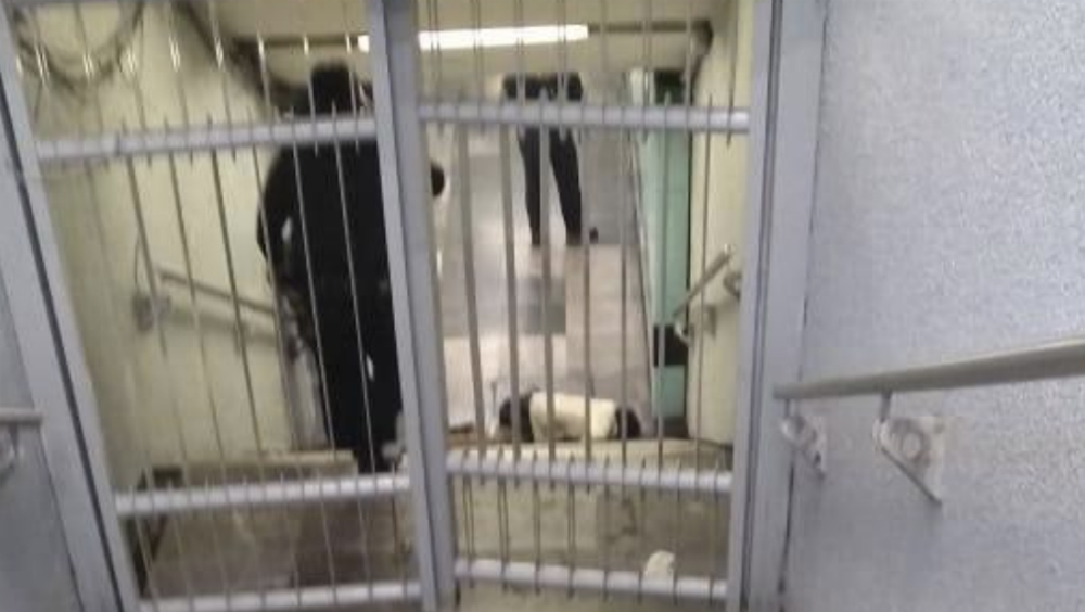 Asesinan a sujeto en Metro Garibaldi