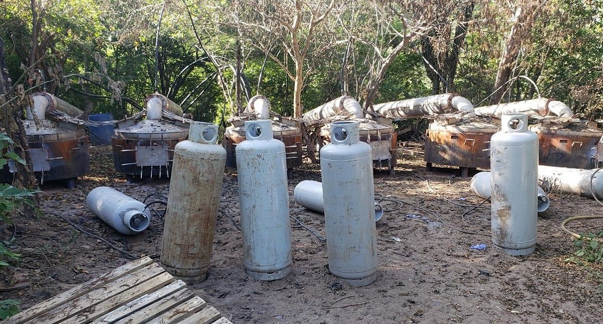 Semar destruyó 104 narcolaboratorios en ocho meses
