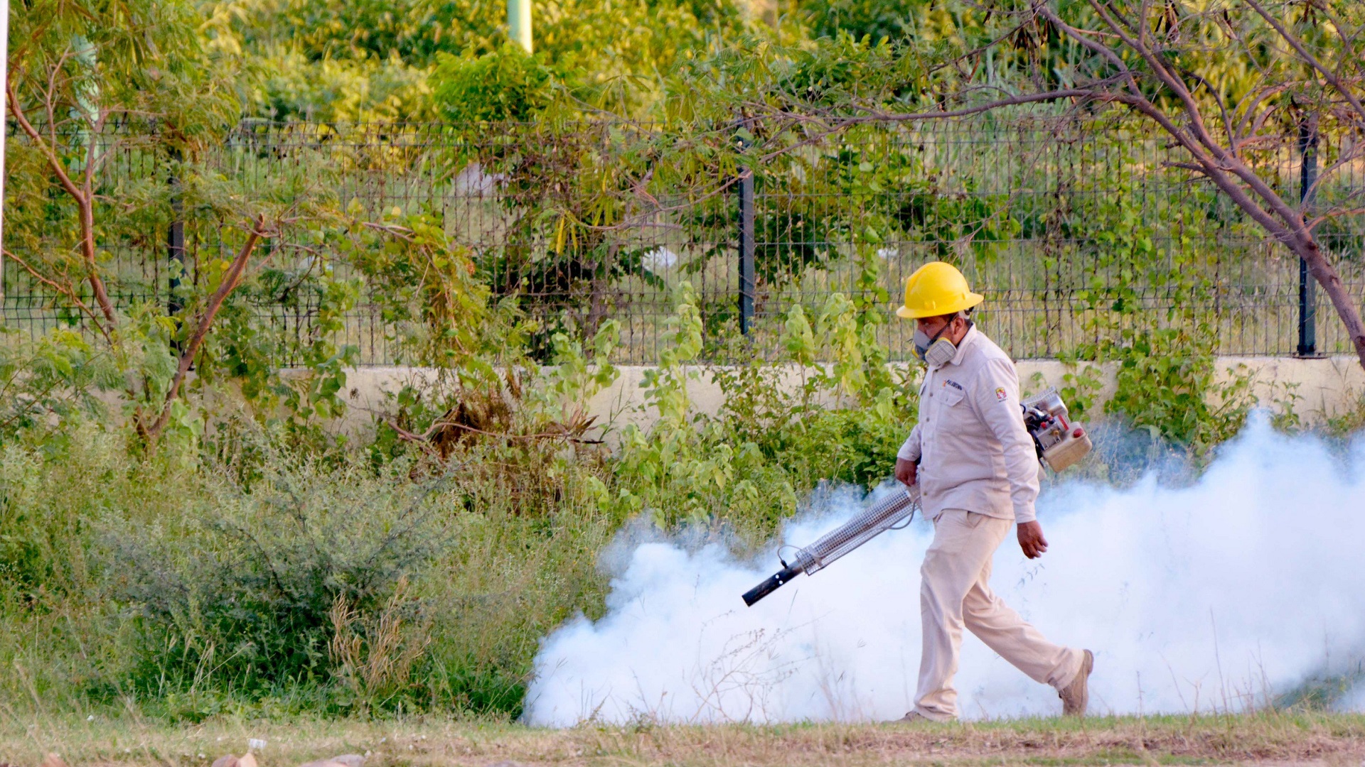 Adjudican aumento del dengue en Tabasco a periodos cíclicos