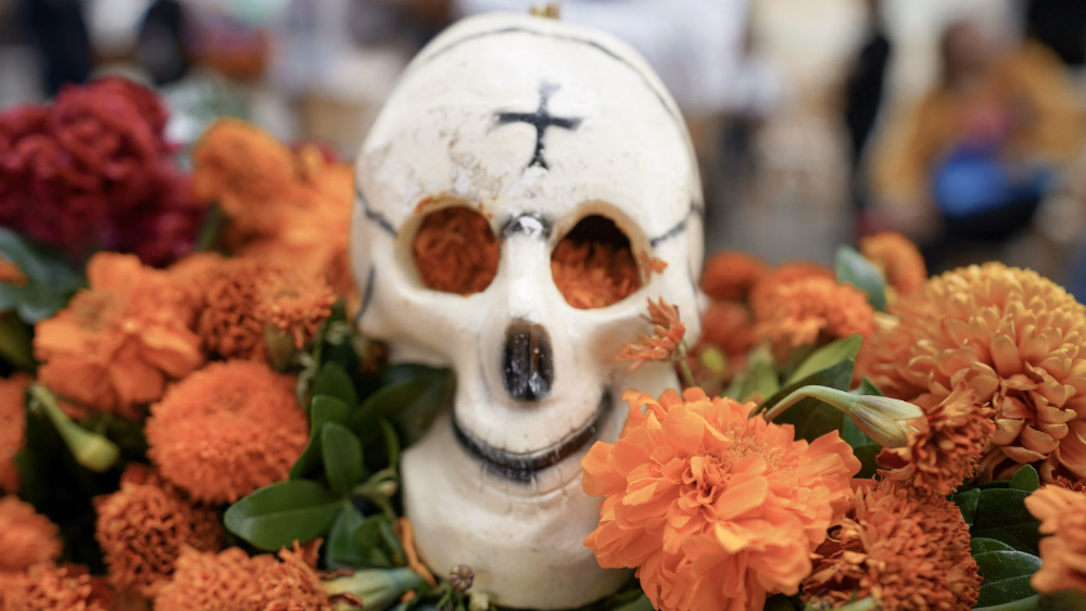 Aplicarán operativos en panteones de Oaxaca para prevenir dengue