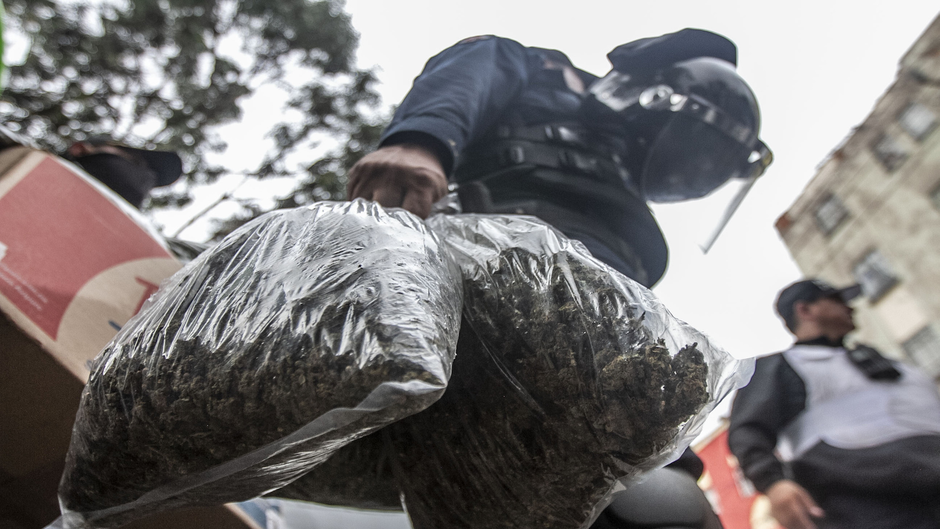 Sheinbaum defiende operativo en Tepito y lamenta liberación de 27 Sheinbaum defiende operativo en Tepito y lamenta liberación de 27