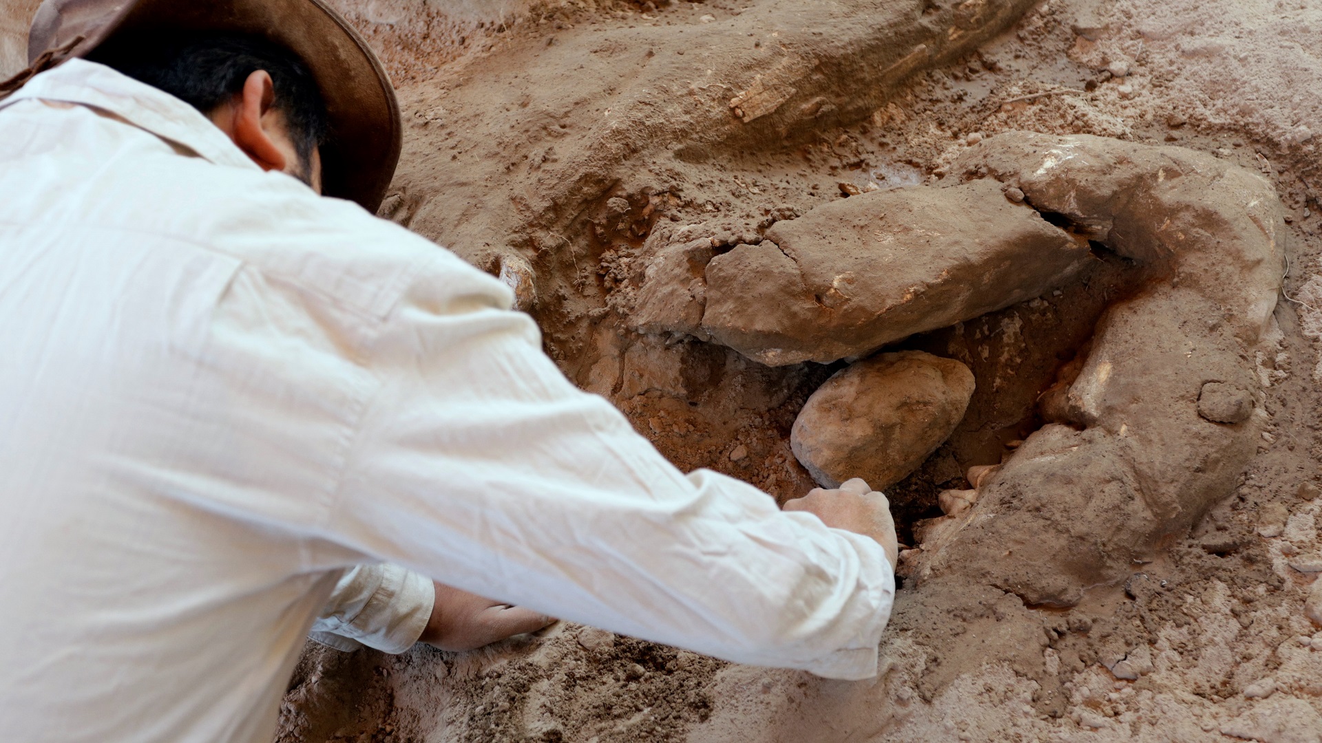 Hallan en Puebla huesos y colmillos de mastodonte - paleontologo-analizando-restos-de-mastodonte