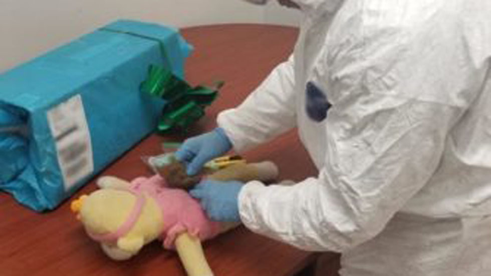 Aseguran peluche con más de mil pastillas de fentanilo en Jalisco