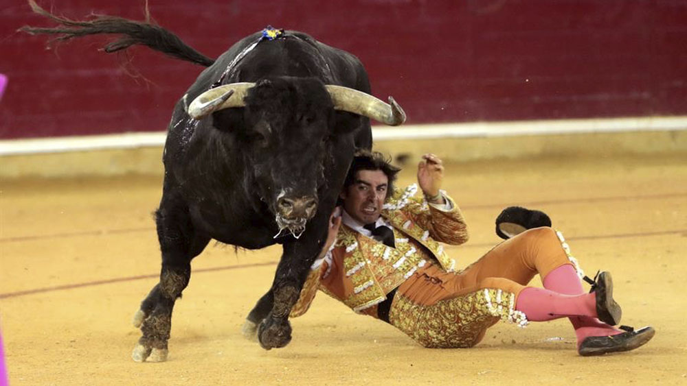 Miguel Ángel Perera evoluciona con normalidad tras cornada