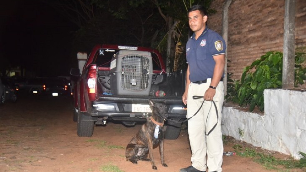 Detienen a excónsul paraguayo en Argentina con 27 kilos de mariguana - perro-antidroga-de-argentina-que-detecto-mariguana-a-exconsul