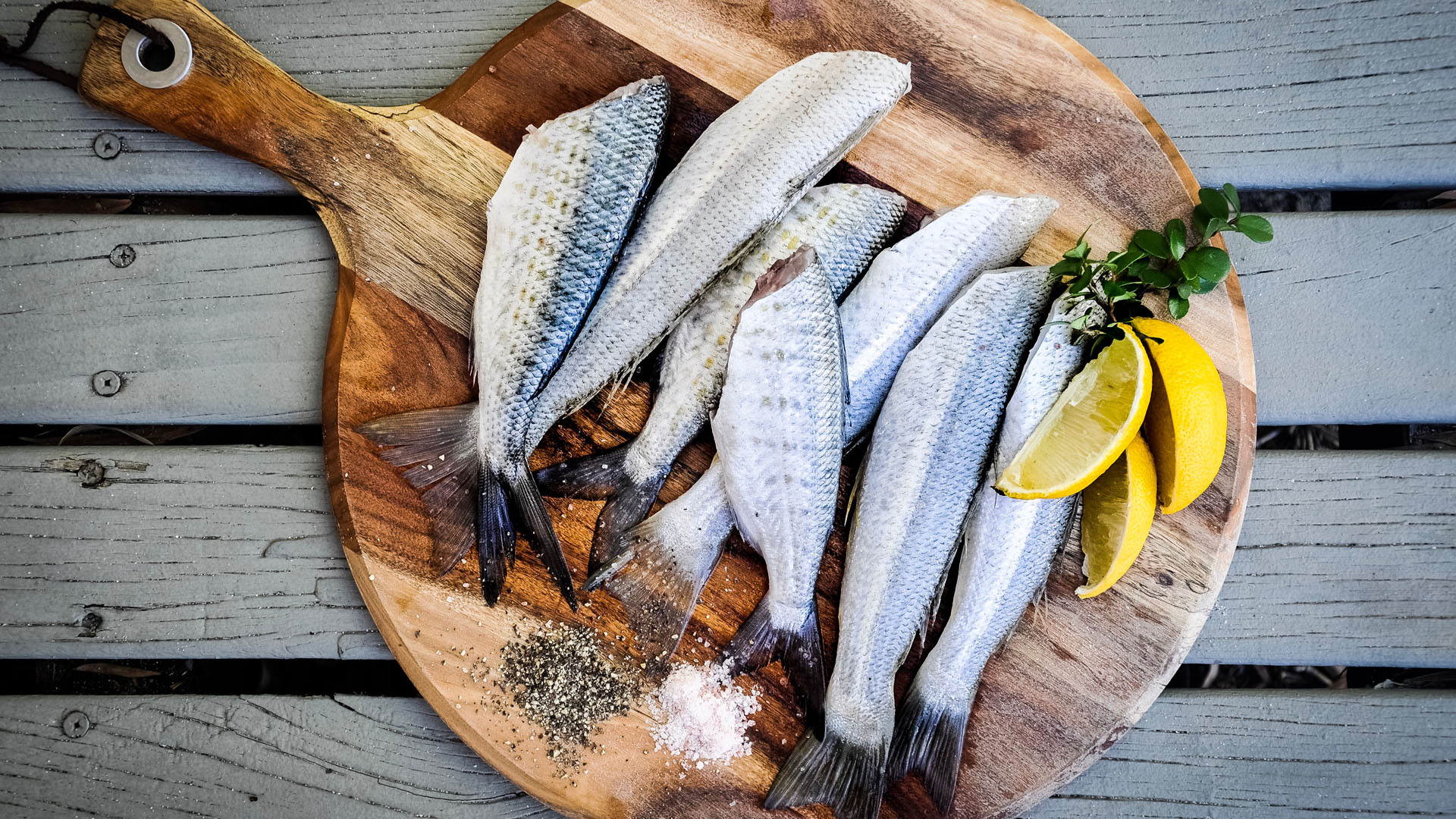 El 20 por ciento de los peces comerciales en México tiene microplásticos El 20 por ciento de los peces comerciales en México tiene microplásticos