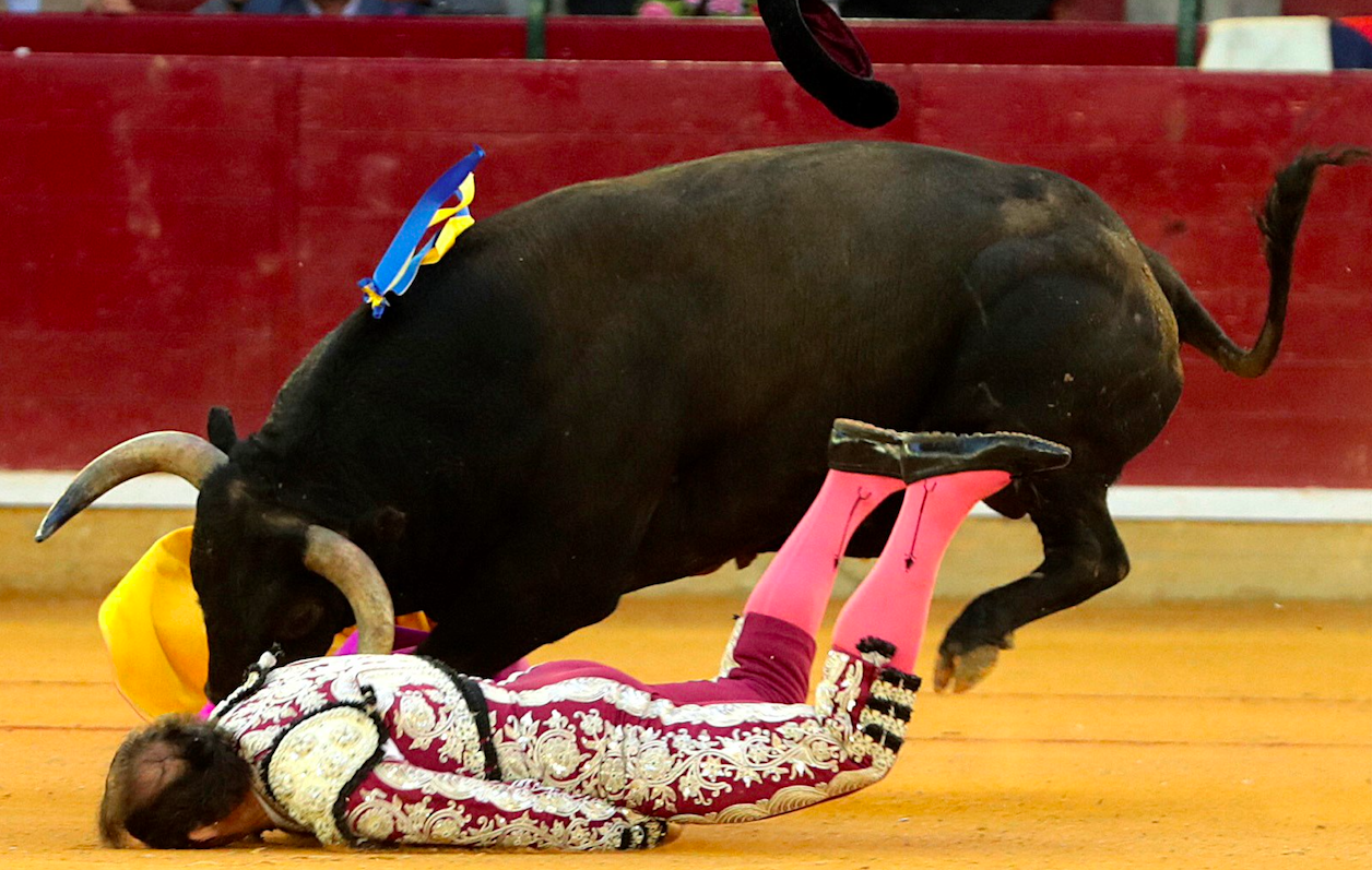 Jornada sangrienta en la Feria del Pilar de Zaragoza
