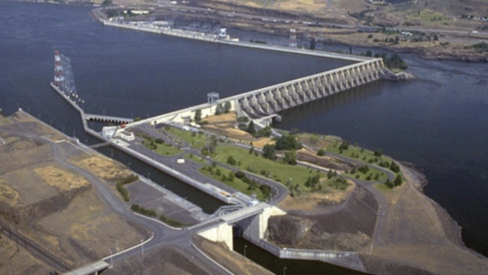 Indígenas de EE.UU. piden eliminar represas para salvar orcas y pesca de salmón