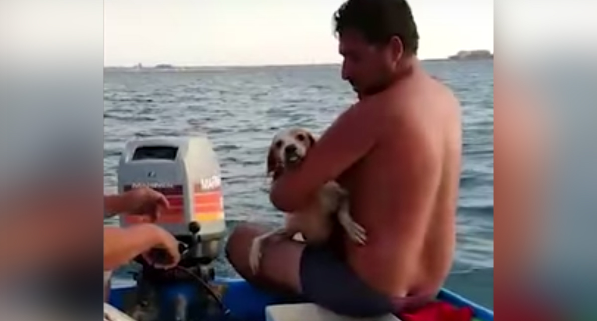 #Video Rescatan a perro de morir ahogado en medio del mar en BCS