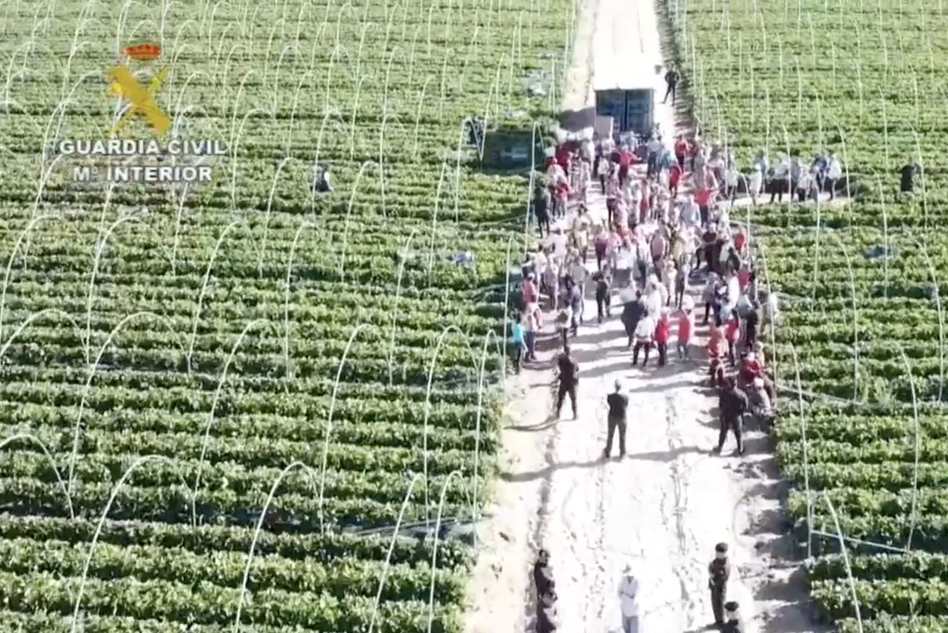 Explotaban y semiesclavizaban a trabajadores de Rumanía y Moldavia