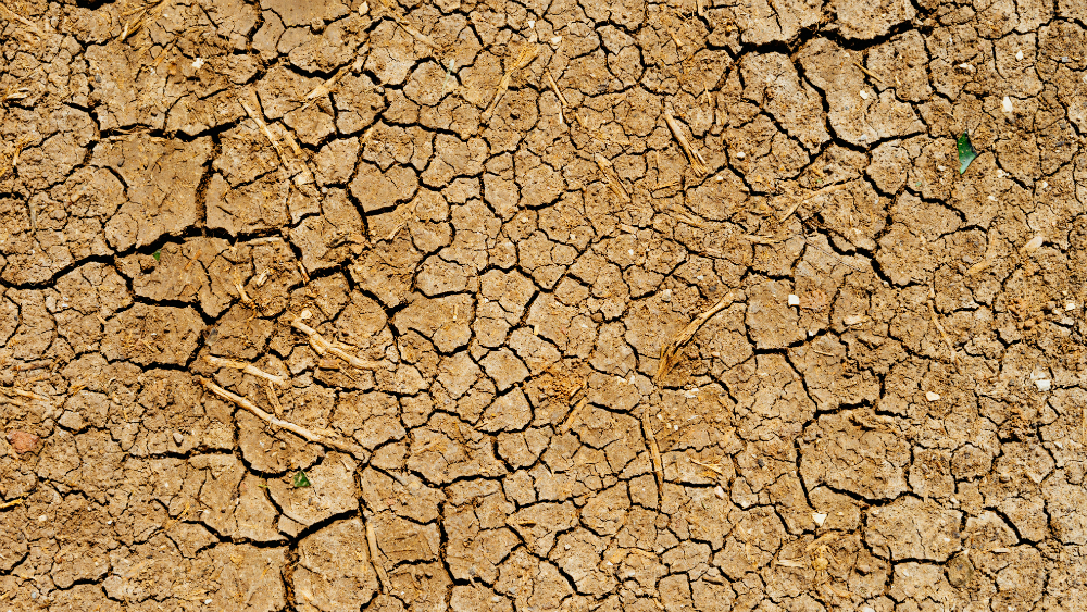 Sequía obliga a campesinos de Edomex a usar aguas residuales