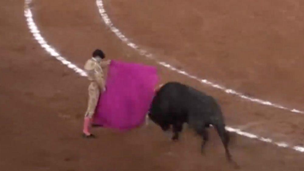 Crónica Taurina: José María toca el cielo, por Carlos Yarza
