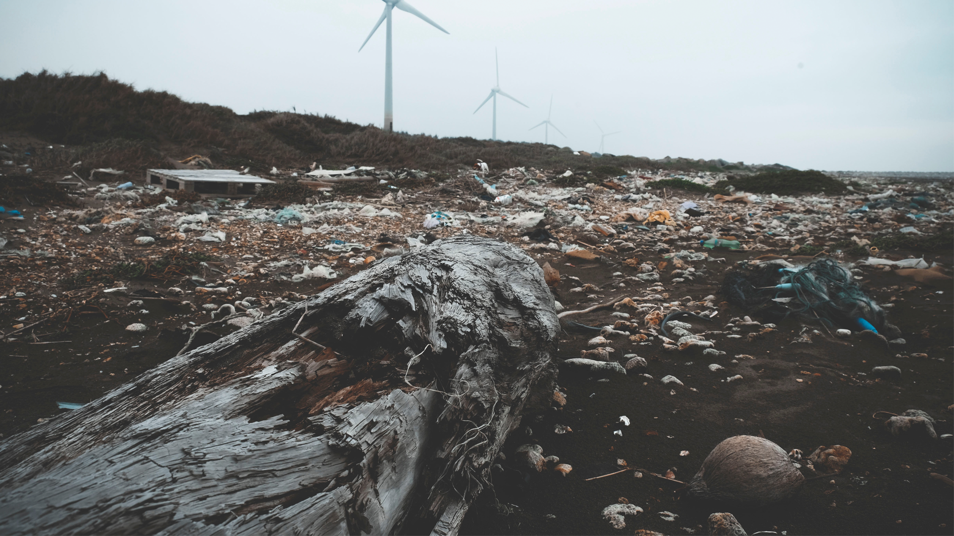 La vida después de la basura