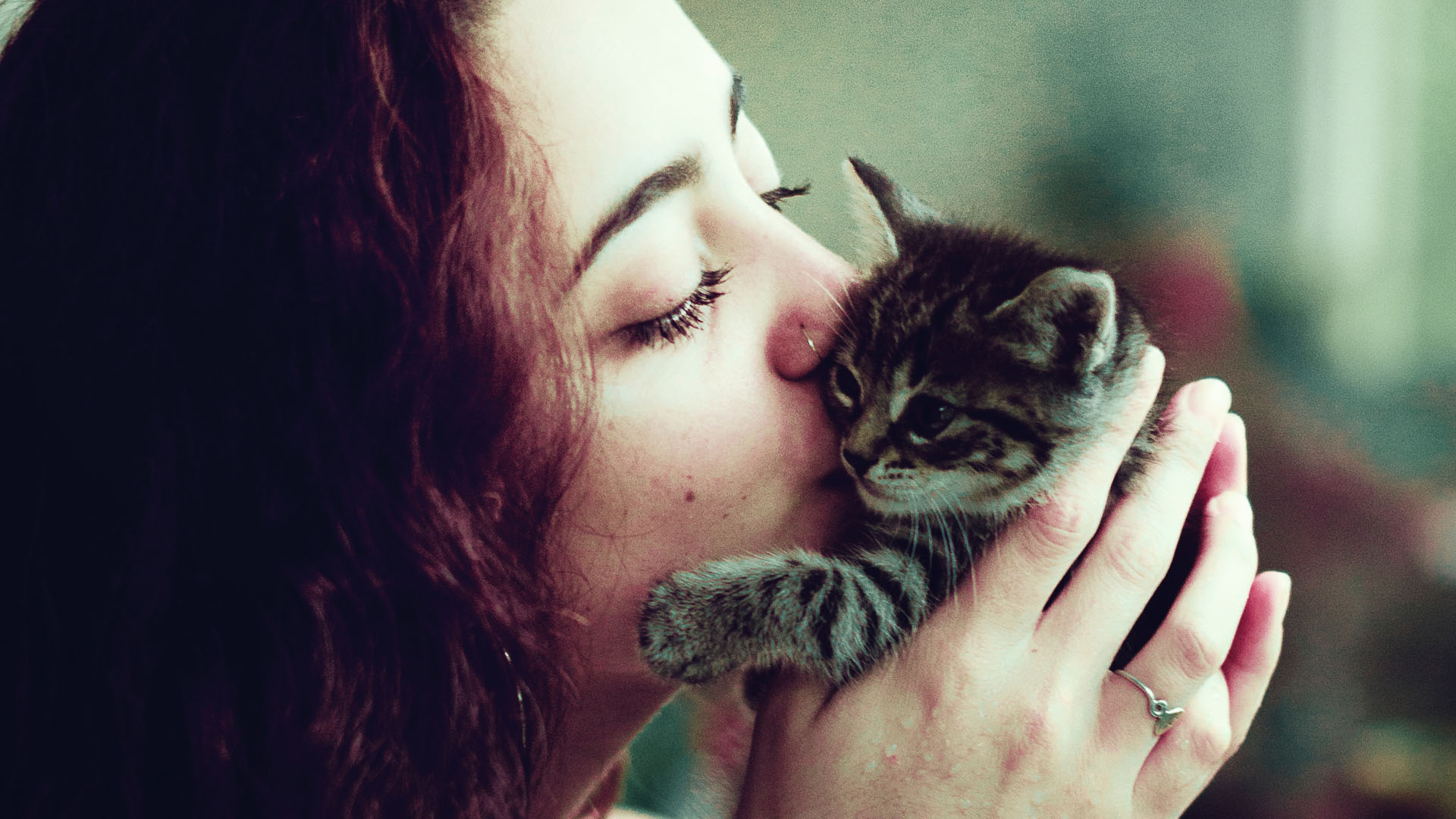 Besar a mascotas podría afectar el hígado y los pulmones - beso-a-gato