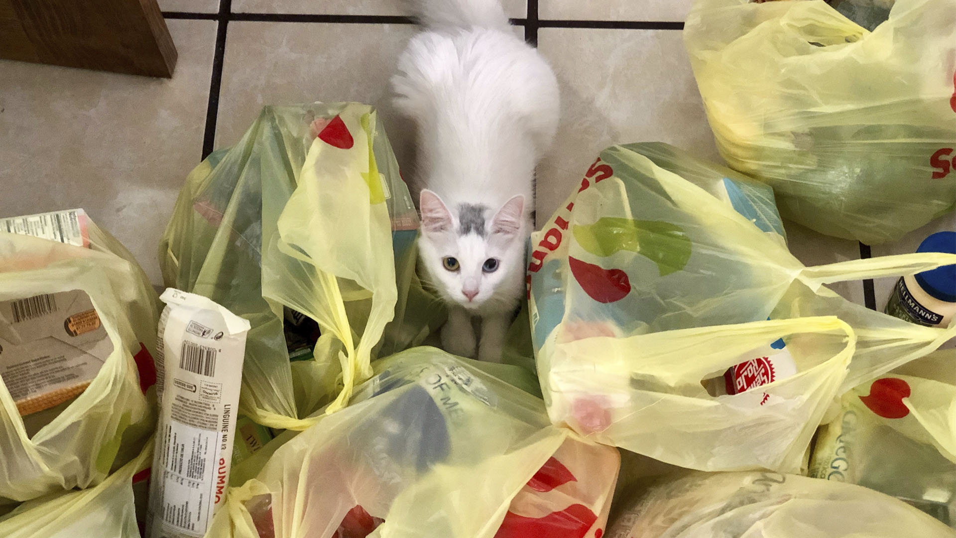 Supermercados dejarían de dar bolsas de plástico en la CDMX en 2020 - bolsas-de-plastico-de-supermercado