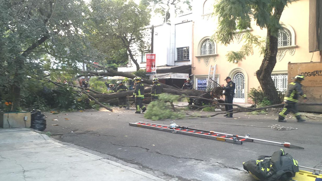 Activan Alerta Amarilla en la Ciudad de México por vientos fuertes