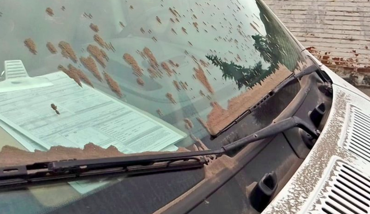 Caída de ceniza afecta a Edomex y Ciudad de México