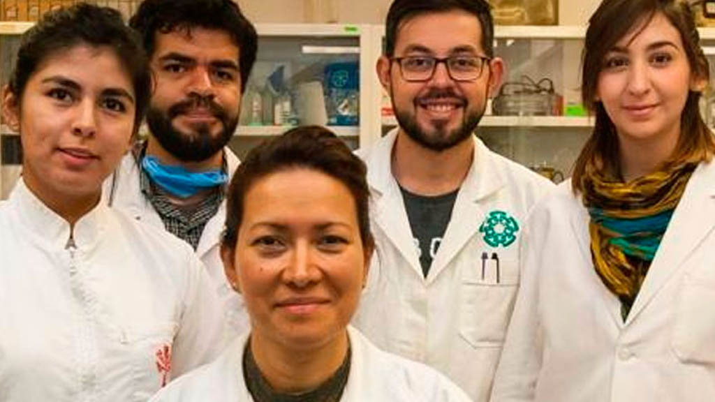 IPN logra erradicar al 100 por ciento el VPH en 29 mujeres - cientificos-ipn-vph