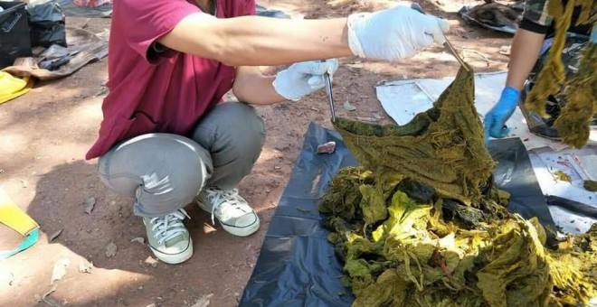 Hallan muerto a ciervo tras ingerir siete kilos de basura en Tailandia - ciervo-tailandia1
