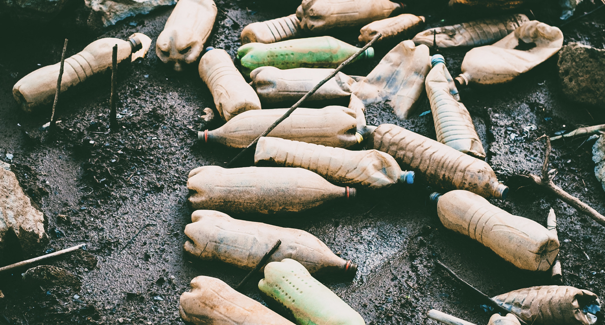 Contaminación plástica en océanos pone en riesgo alimentación de millones de personas