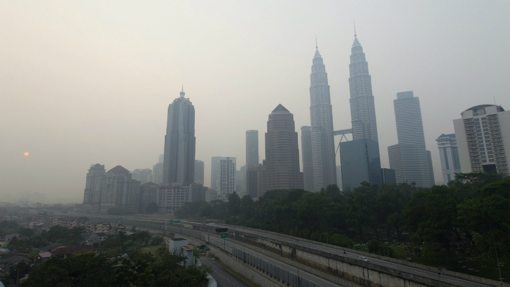 Científicos reconfiguran bacteria para que “coma” dióxido de carbono