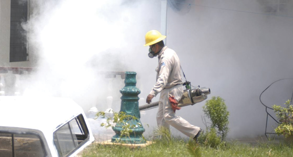 En lo que va de 2019 se han registrado más de 227 mil casos de dengue en México