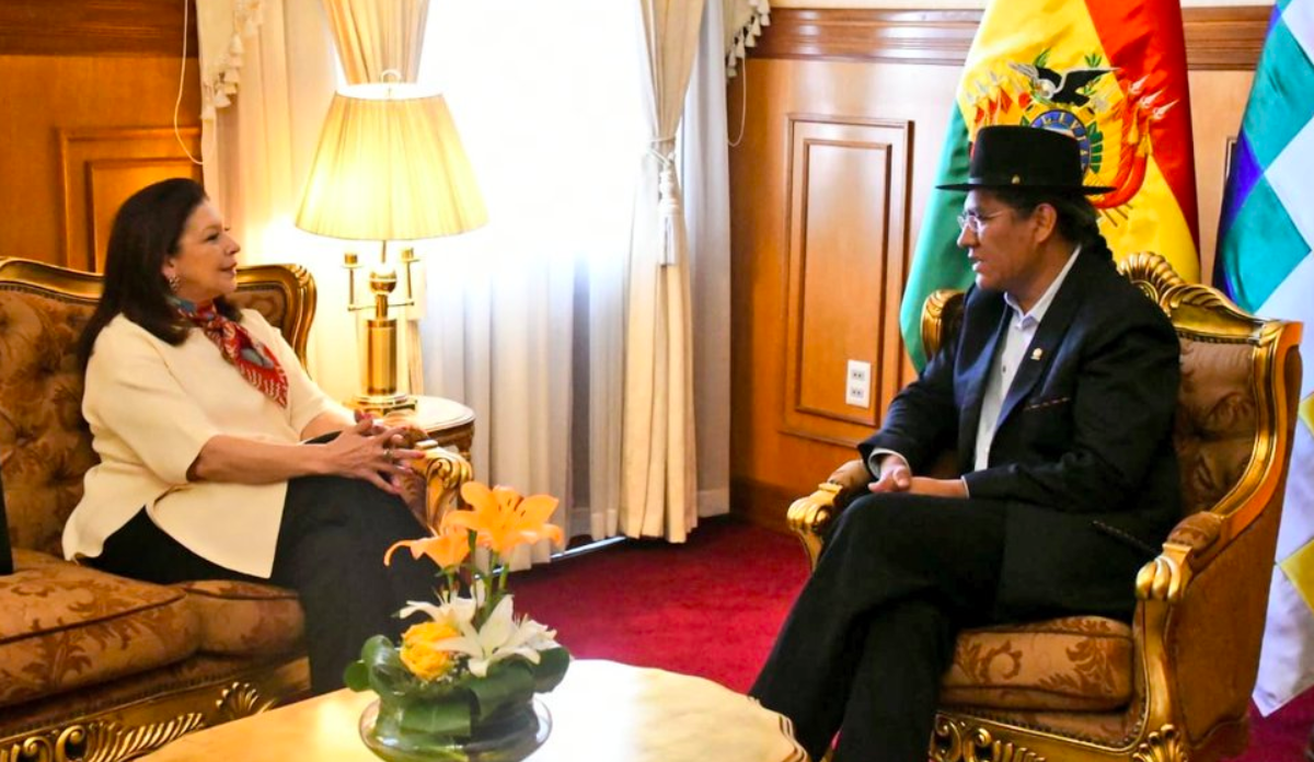 Embajadora de México participará en auditoría de elecciones bolivianas