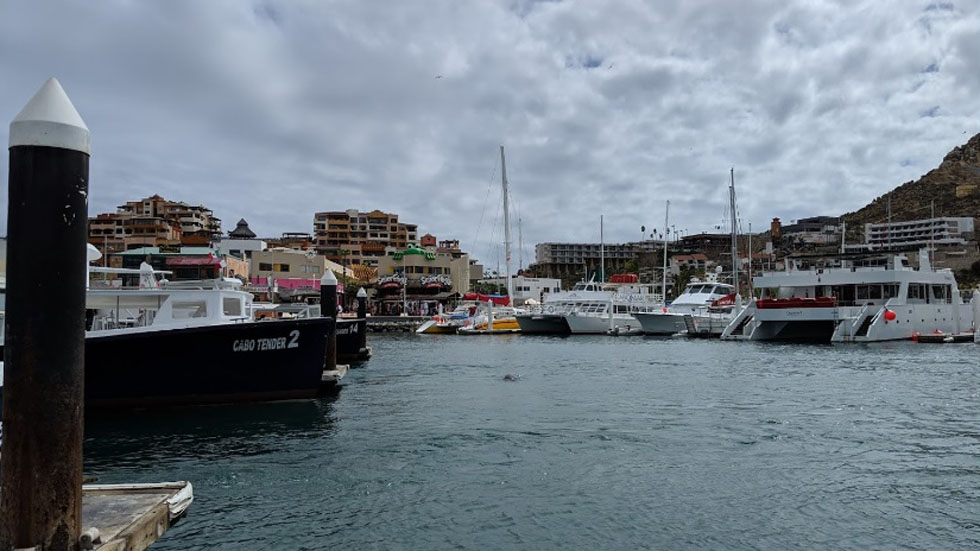 Cerrarán puerto de Los Cabos por tormenta tropical Raymond Cerrarán puerto de Los Cabos por tormenta tropical Raymond