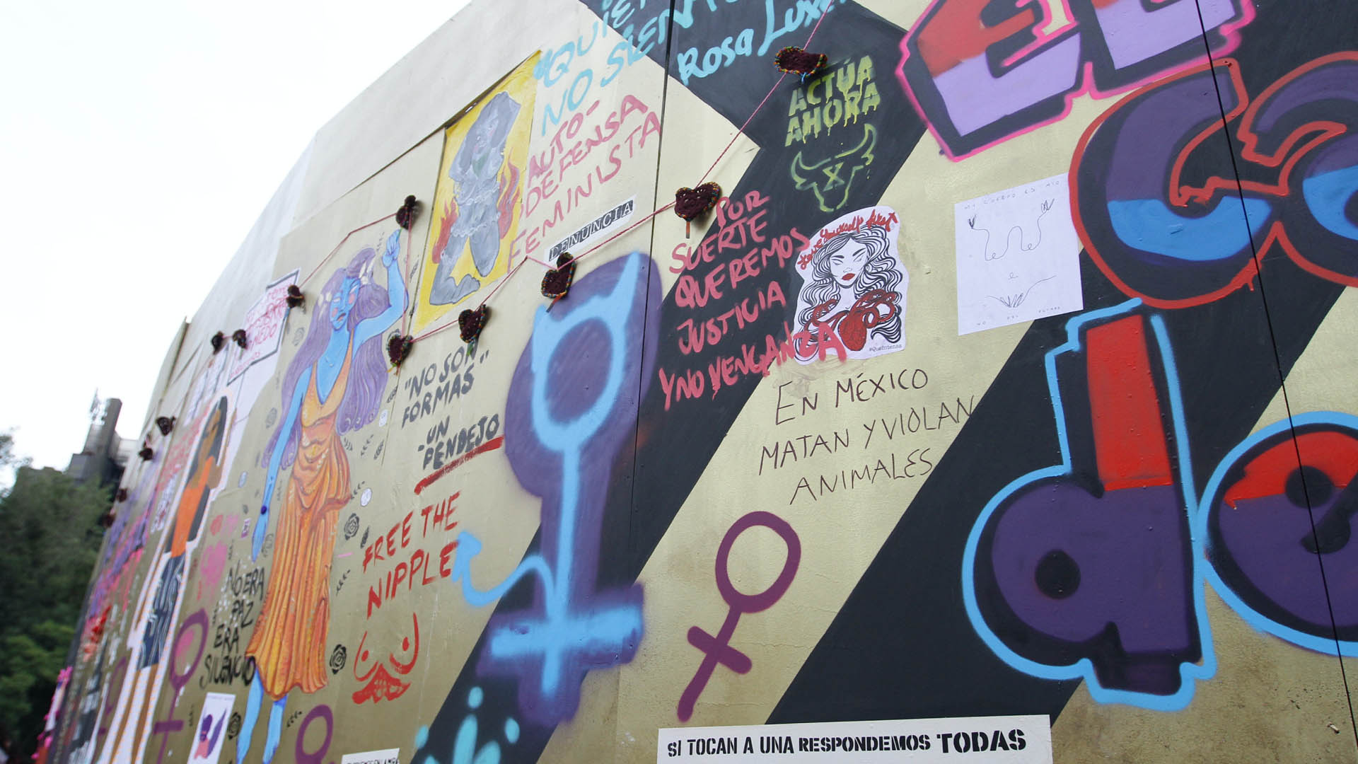 SSC aplicará operativo por marcha “Ni una Menos”