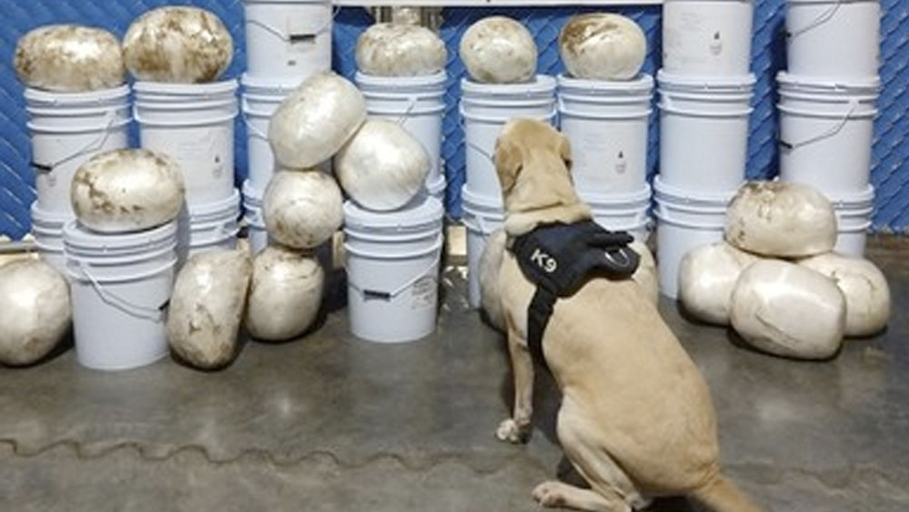 Guardia Nacional incauta en Culiacán 144 kilos de metanfetamina