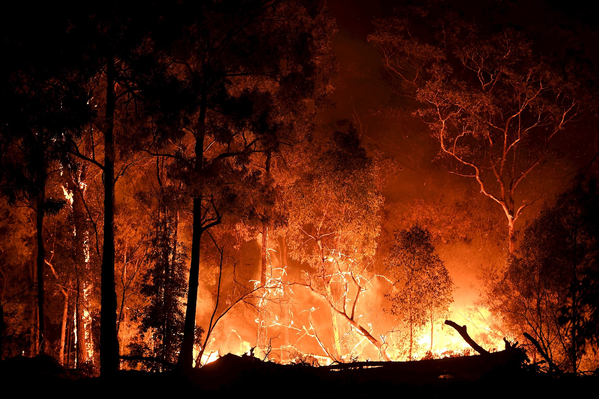 Afectan 55 incendios más de dos mil hectáreas en 11 estados de México