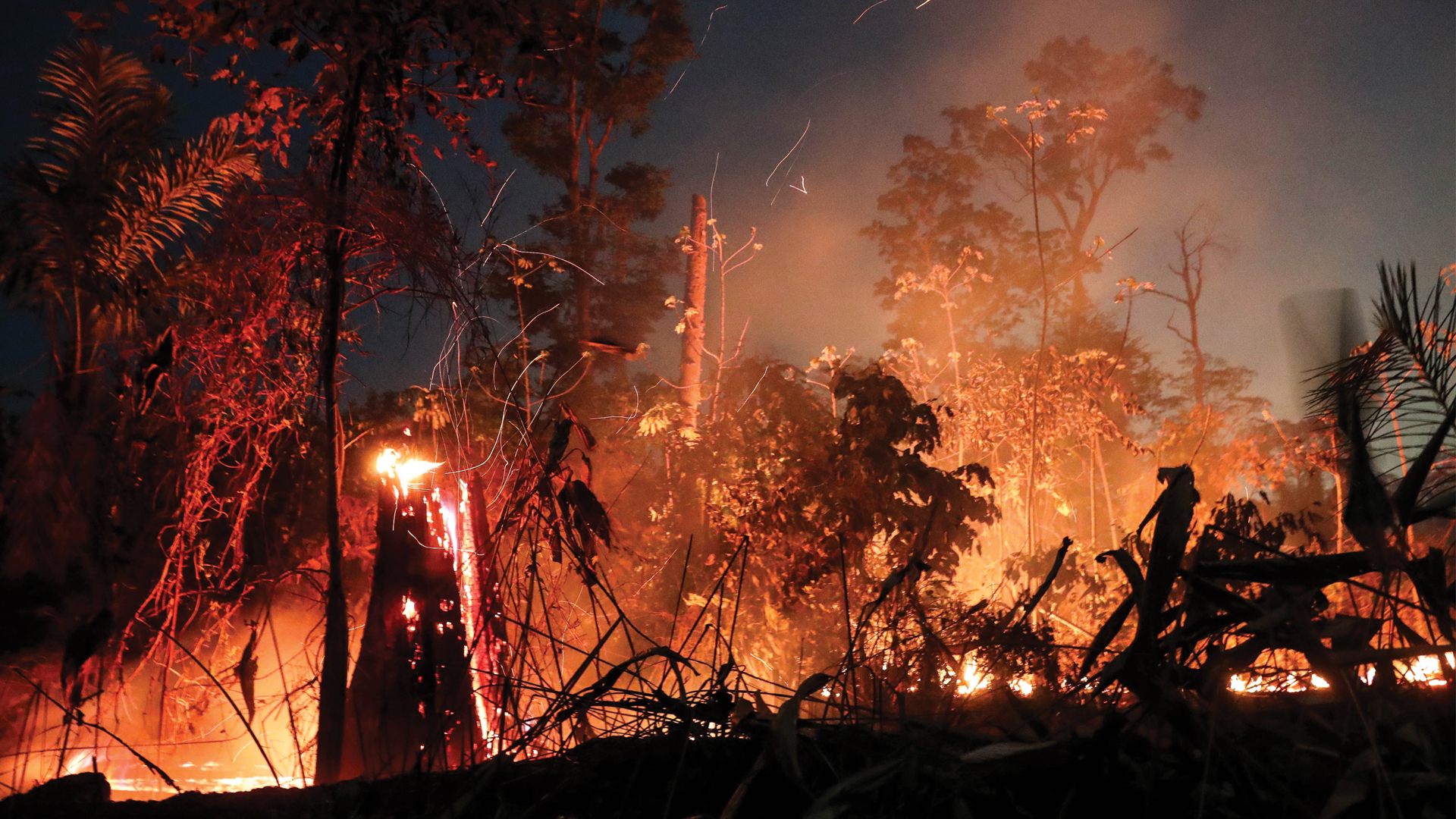 Incendios de 2019 en Amazonia fueron anormales: investigadores Incendios de 2019 en Amazonia fueron anormales: investigadores