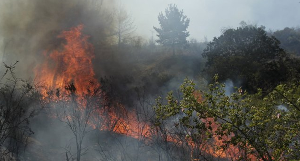 Incendios consumen más de 2 mil 500 hectáreas en el centro de Chile Incendios consumen más de 2 mil 500 hectáreas en el centro de Chile