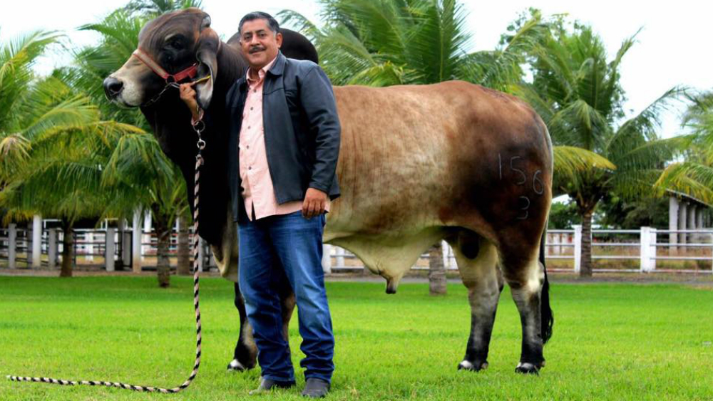Expresan condolencias por asesinato de Juan Carlos Molina