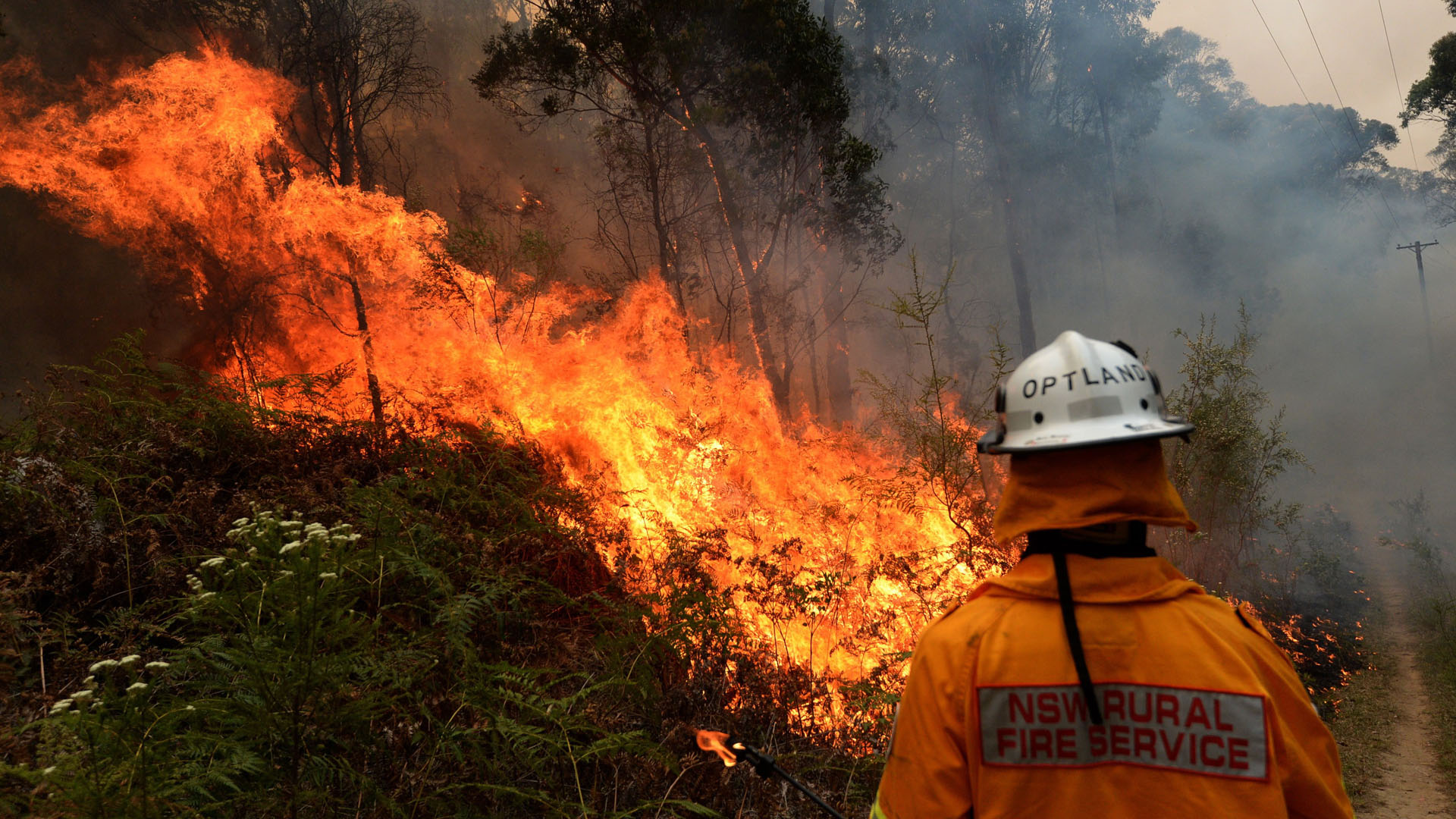Consideran “sin precedentes” incendios forestales en Australia Consideran “sin precedentes” incendios forestales en Australia