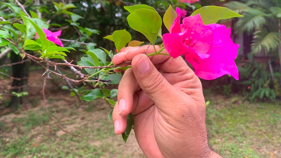 Mayoría libre y consciente no permitiría otro golpe de Estado: López Obrador