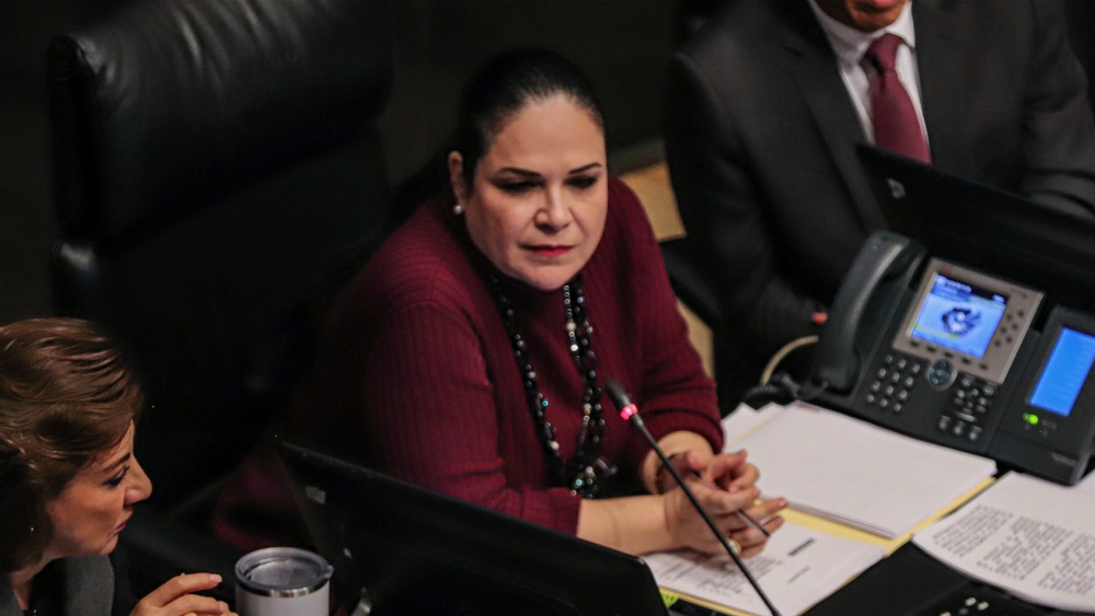 Avala Mónica Fernandez votación para elección de titular de CNDH