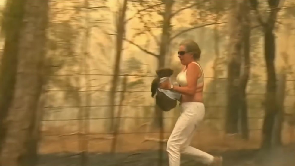 #Video Mujer salva a koala de incendio en Australia
