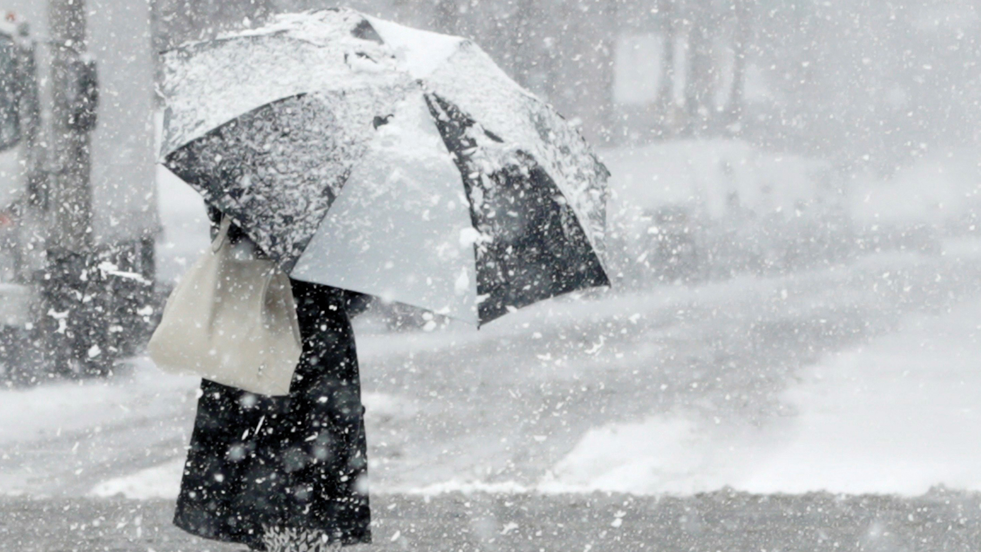 Intensa nevada podría afectar vuelos en Día de Acción de Gracias