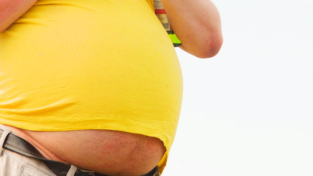 Científicos logran revertir obesidad con fármaco usado para el corazón Científicos logran revertir obesidad con fármaco usado para el corazón