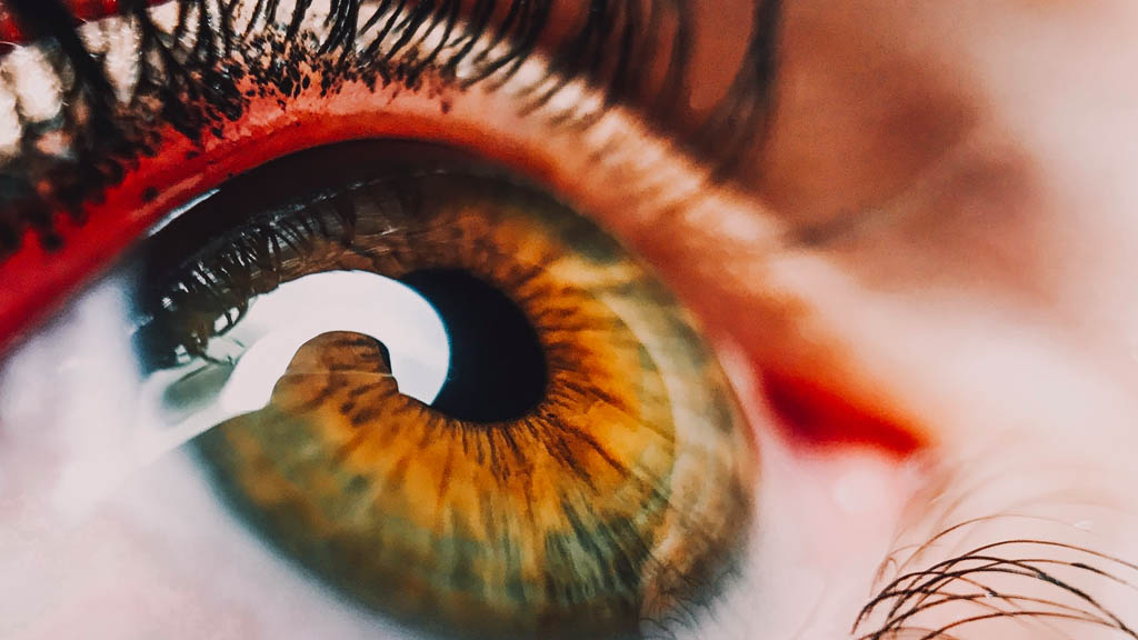 Cada año en el mundo hay hasta 8 mil casos de cáncer de ojo