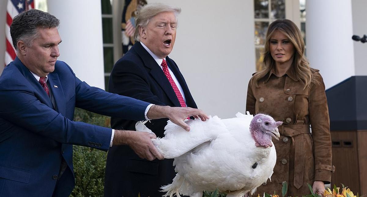 Trump arremete contra Adam Schiff durante indulto a pavos por Acción de Gracias