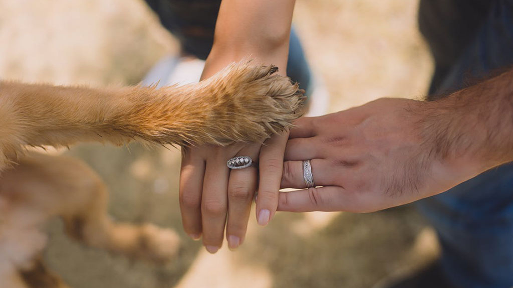 Animales de compañía ayudarían a enfrentar mejor trastornos mentales