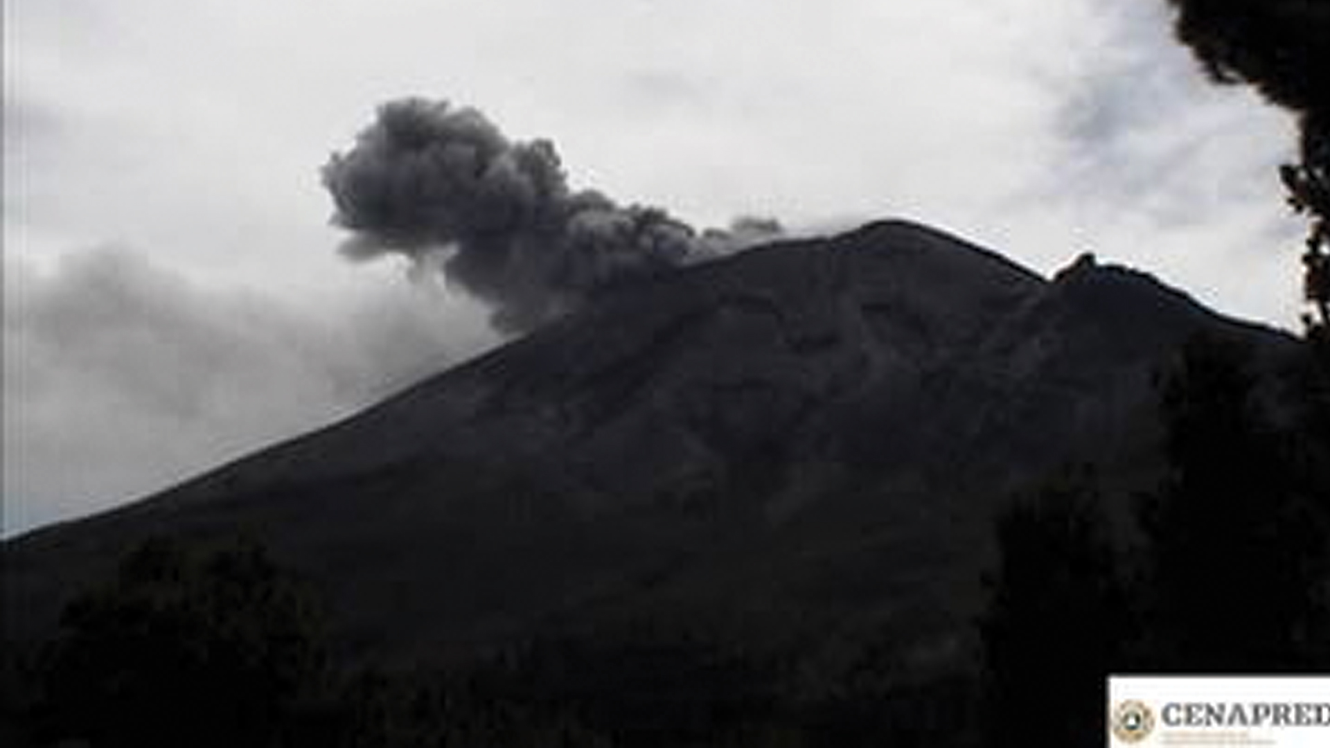 Popocatépetl emite 239 exhalaciones en las últimas 24 horas