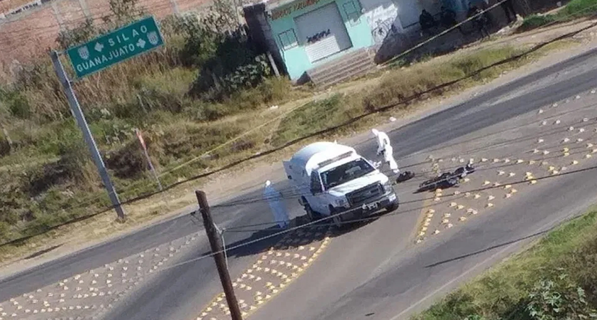 Pertenecen a cuatro hombres los restos hallados en 13 bolsas en Guanajuato